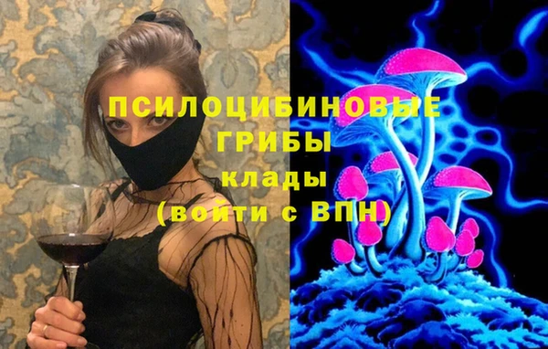 не бодяженный Богородицк